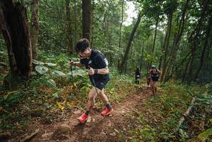 BIB: 
                            <button type="button" onclick="openModal(22437263)" class="btn btn-primary btn-sm float-right btn-popup" data-toggle="modal" data-target=".modal-high-quality">
                        <i class="fas fa-shopping-cart"></i> Add to Cart
                    </button>
                                            <button type="button" onclick="isThisMe(22437263, true)" class="btn btn-success btn-sm float-right btn-popup btn-isme hidden" data-toggle="tooltip" data-placement="bottom" title="นี่คือรูปของคุณใช่ไหม คลิกที่นี่เพื่อเอาเข้าอัลบั้ม">
                        <i class="fas fa-plus"></i> Add to album
                    </button>
                    <button type="button" onclick="isThisMe(22437263, false)" class="btn btn-warning btn-sm float-right btn-popup btn-isnotme hidden">
                        <i class="fas fa-ban"></i> Remove from album
                    </button>